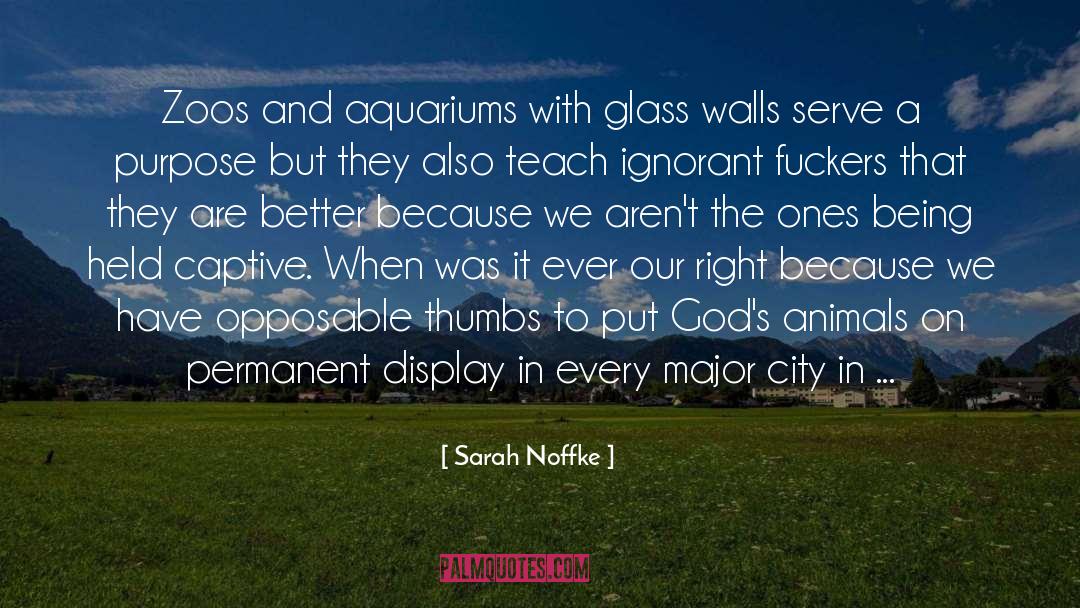 Sarah Noffke Quotes: Zoos and aquariums with glass