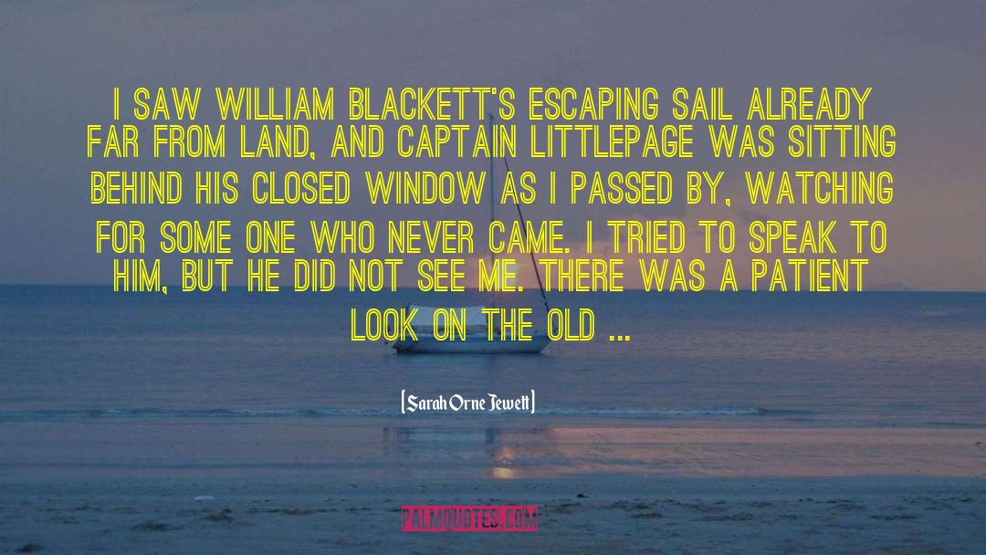 Sarah Orne Jewett Quotes: I saw William Blackett's escaping