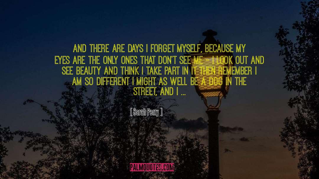 Sarah Perry Quotes: And there are days I