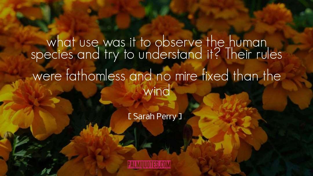 Sarah Perry Quotes: what use was it to
