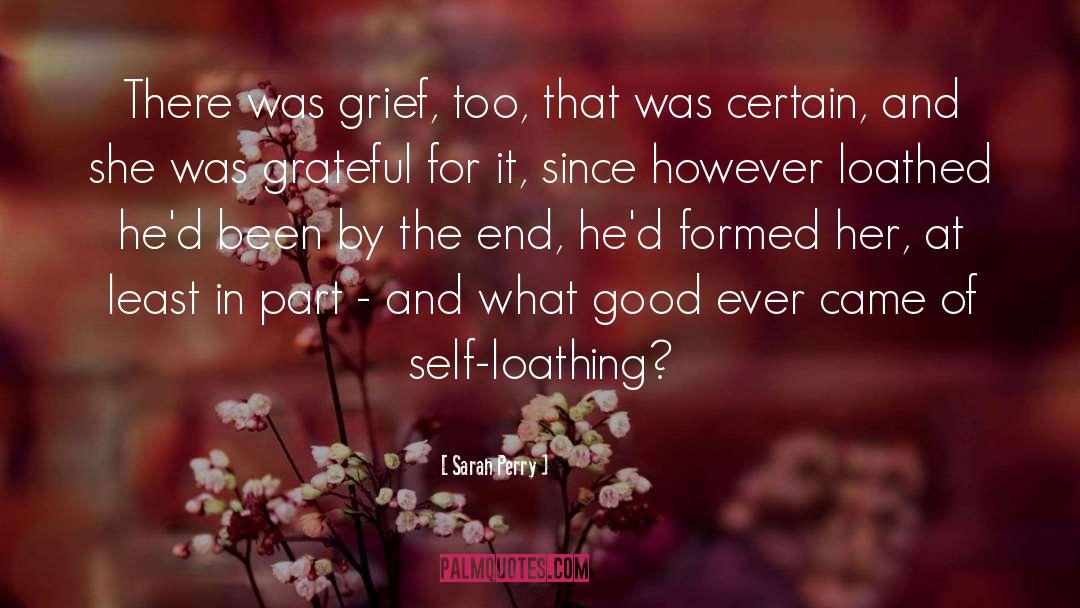 Sarah Perry Quotes: There was grief, too, that