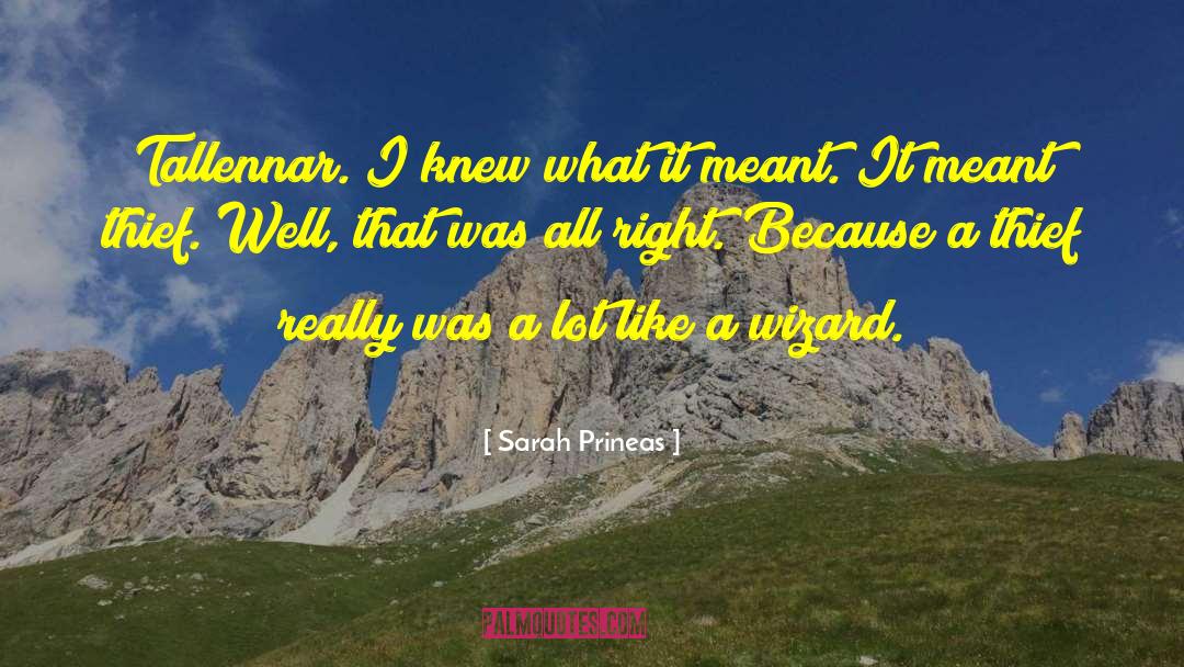 Sarah Prineas Quotes: Tallennar. I knew what it