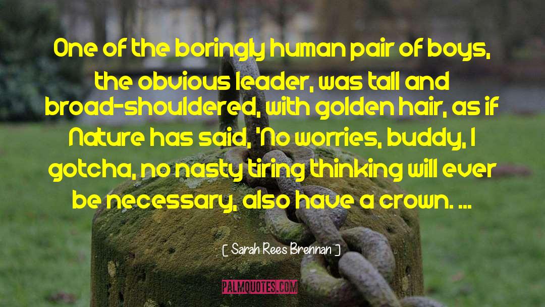 Sarah Rees Brennan Quotes: One of the boringly human