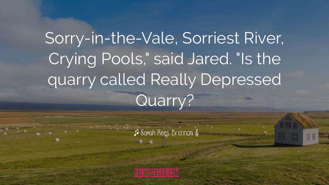 Sarah Rees Brennan Quotes: Sorry-in-the-Vale, Sorriest River, Crying Pools,