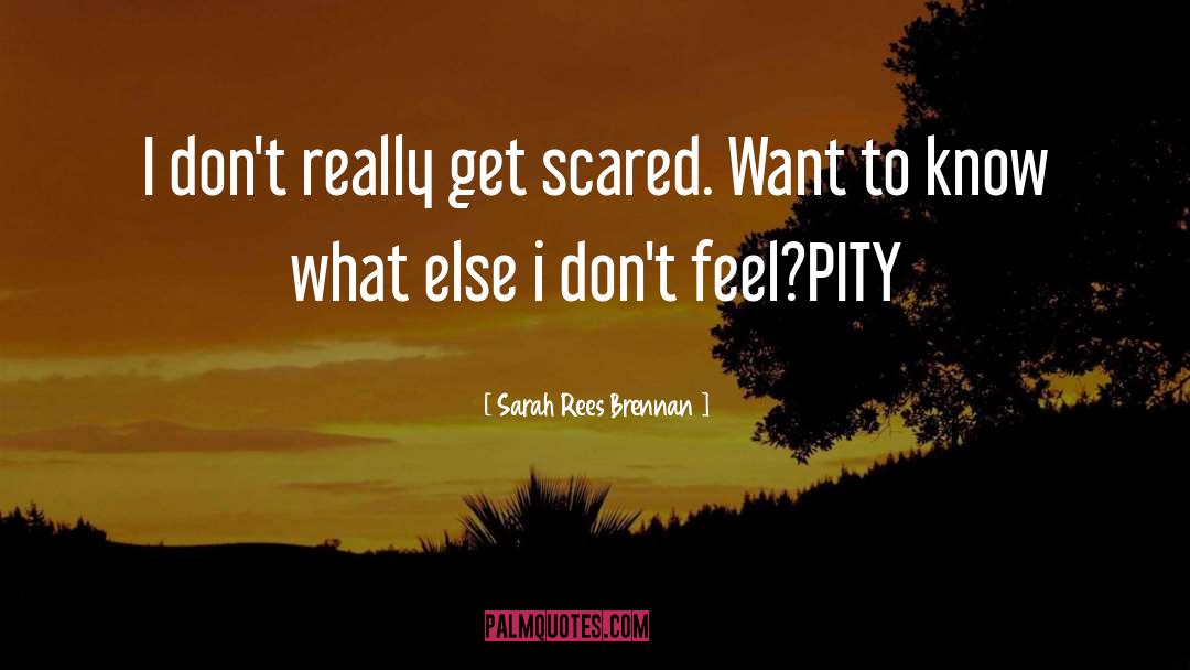 Sarah Rees Brennan Quotes: I don't really get scared.