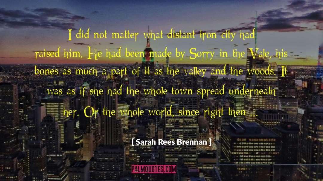 Sarah Rees Brennan Quotes: I did not matter what