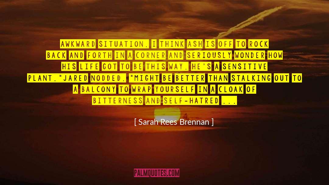 Sarah Rees Brennan Quotes: Awkward situation. I think Ash