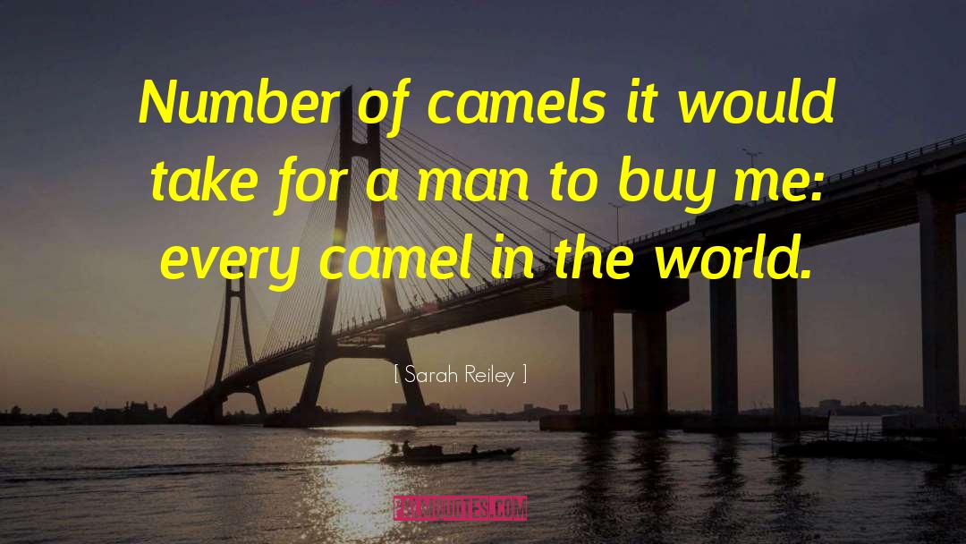 Sarah Reiley Quotes: Number of camels it would