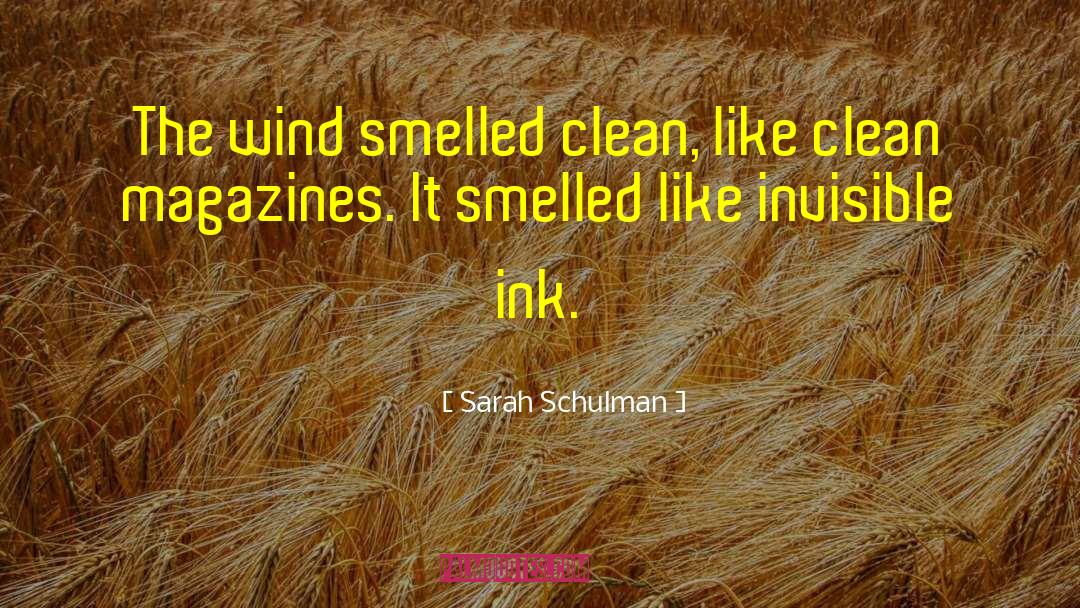Sarah Schulman Quotes: The wind smelled clean, like