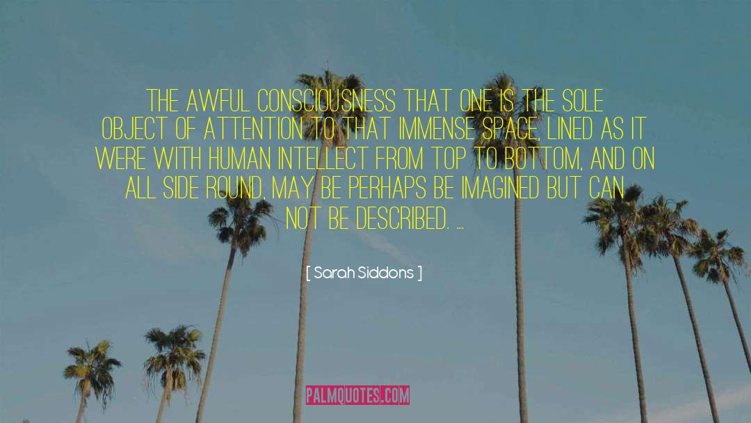 Sarah Siddons Quotes: The awful consciousness that one