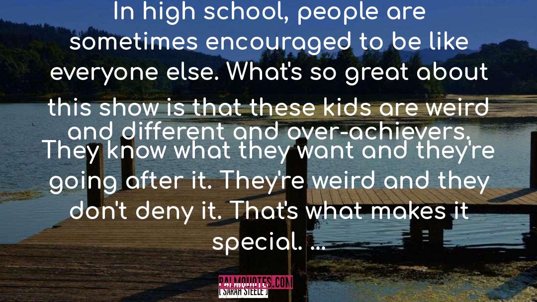 Sarah Steele Quotes: In high school, people are