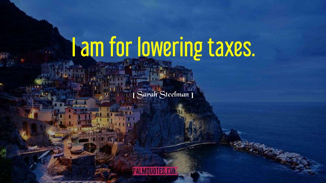 Sarah Steelman Quotes: I am for lowering taxes.