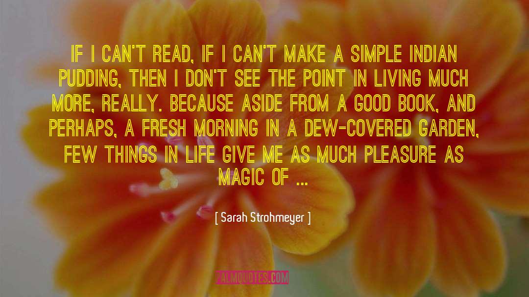 Sarah Strohmeyer Quotes: If I can't read, if