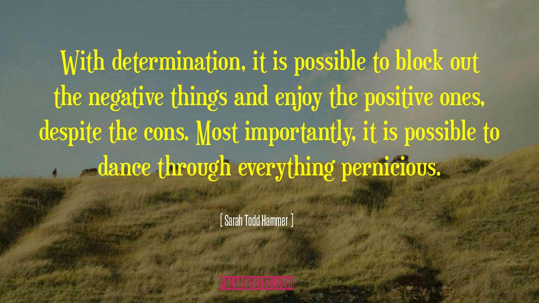Sarah Todd Hammer Quotes: With determination, it is possible
