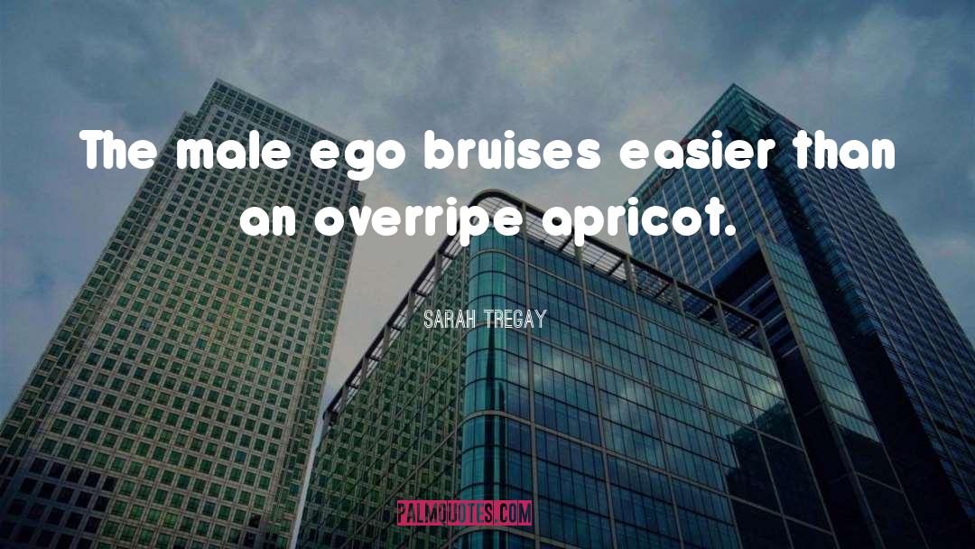 Sarah Tregay Quotes: The male ego bruises easier