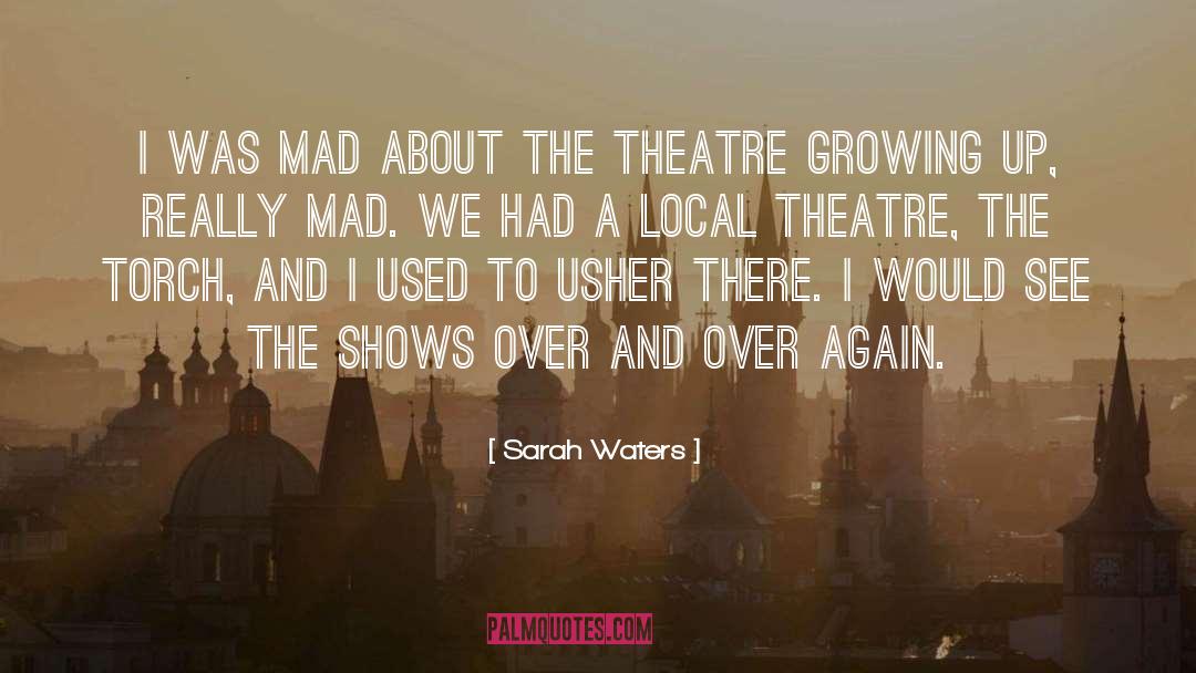 Sarah Waters Quotes: I was mad about the