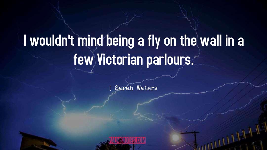 Sarah Waters Quotes: I wouldn't mind being a