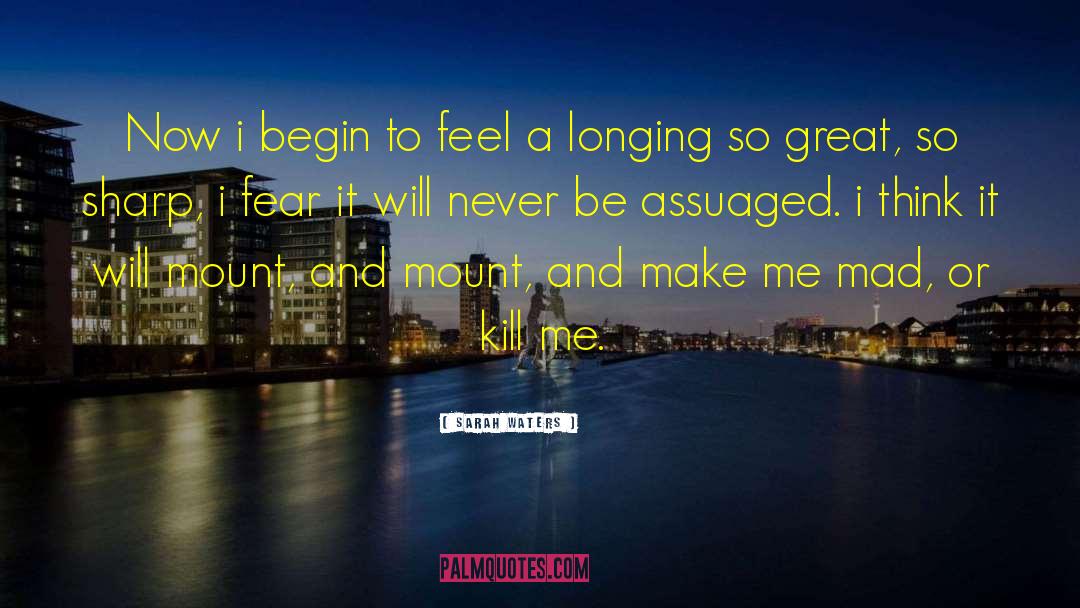 Sarah Waters Quotes: Now i begin to feel