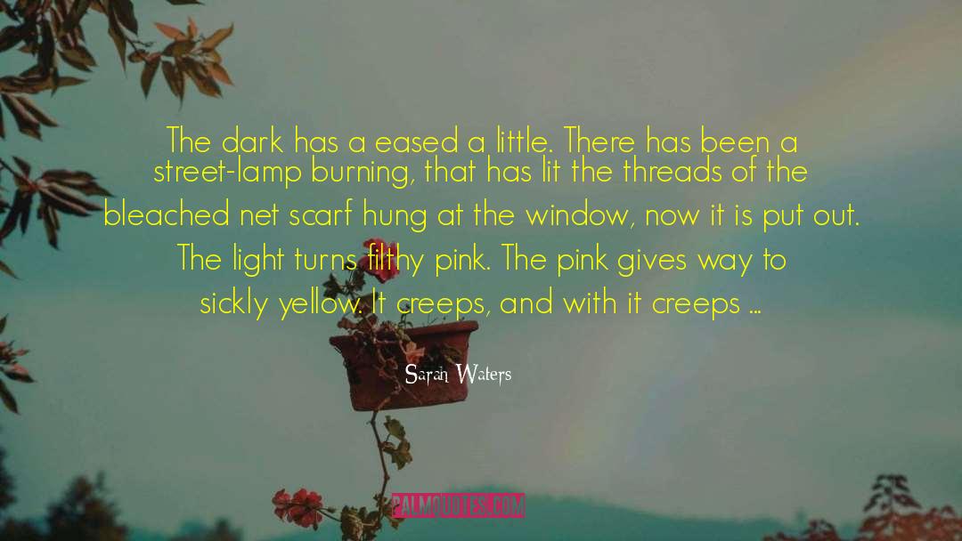 Sarah Waters Quotes: The dark has a eased