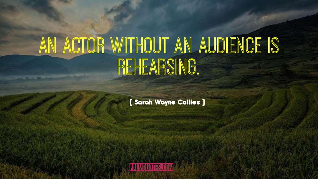 Sarah Wayne Callies Quotes: An actor without an audience