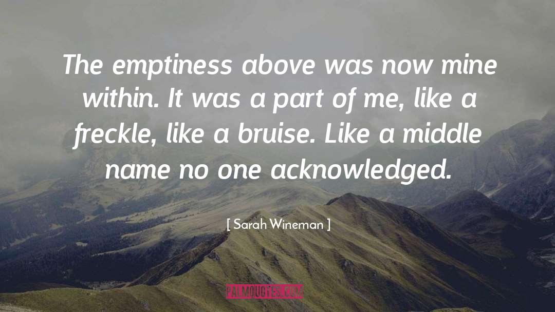 Sarah Wineman Quotes: The emptiness above was now