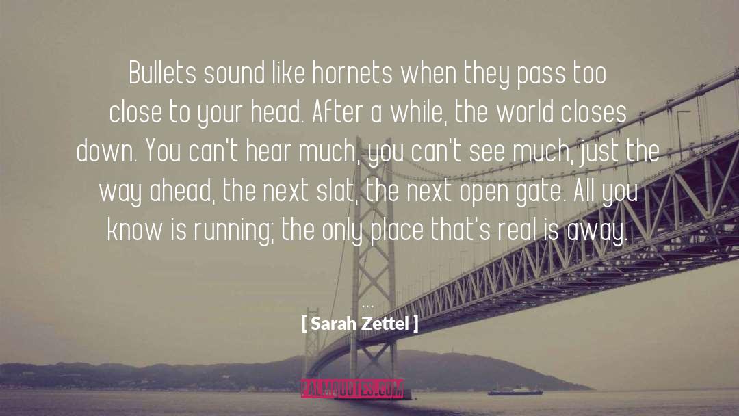 Sarah Zettel Quotes: Bullets sound like hornets when