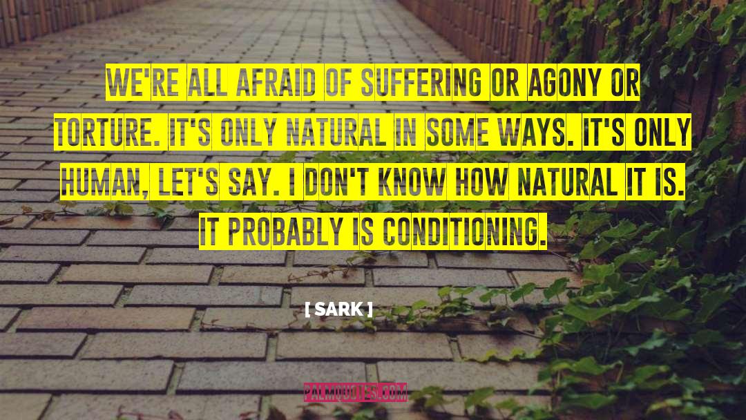 SARK Quotes: We're all afraid of suffering
