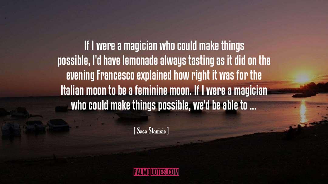 Sasa Stanisic Quotes: If I were a magician