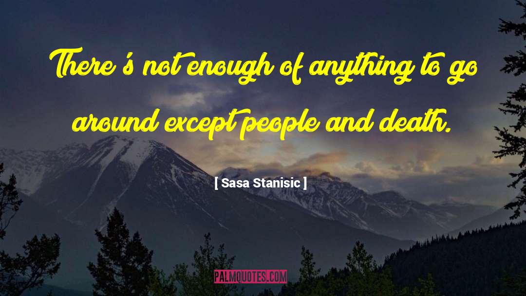 Sasa Stanisic Quotes: There's not enough of anything