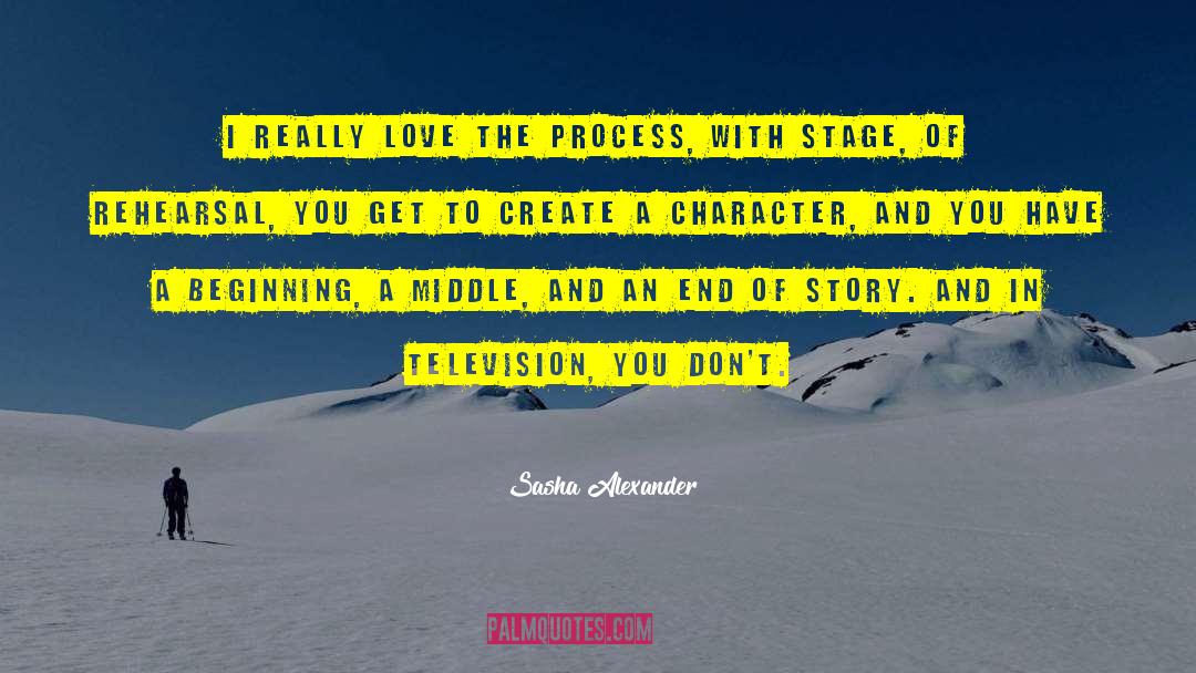 Sasha Alexander Quotes: I really love the process,