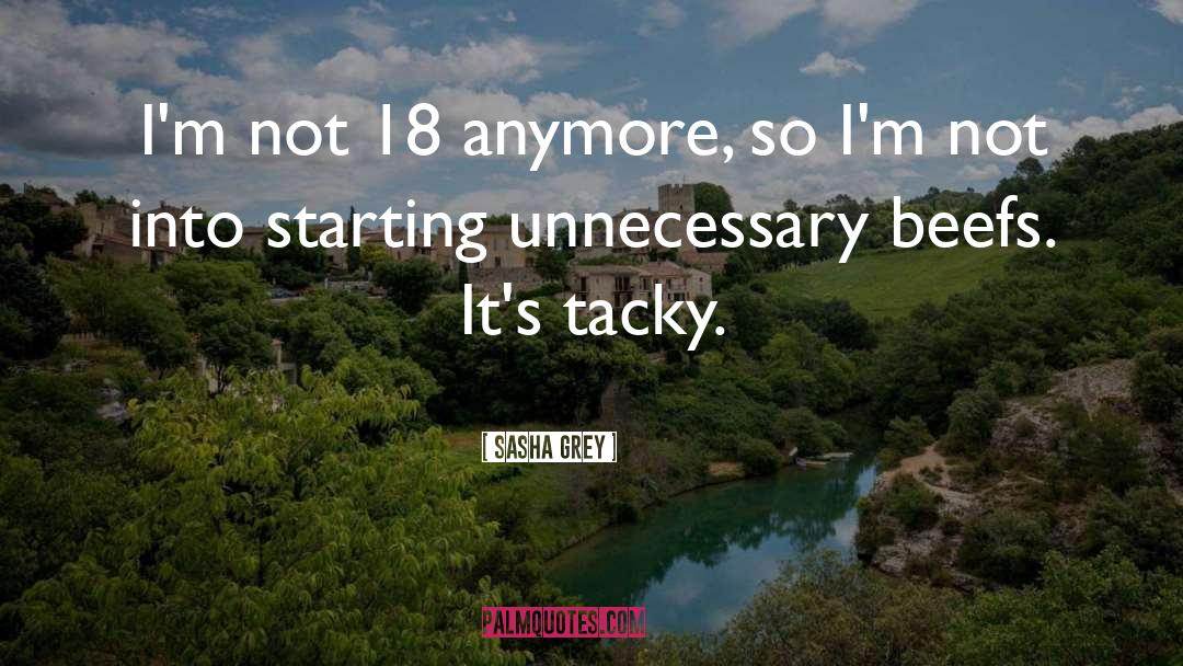 Sasha Grey Quotes: I'm not 18 anymore, so