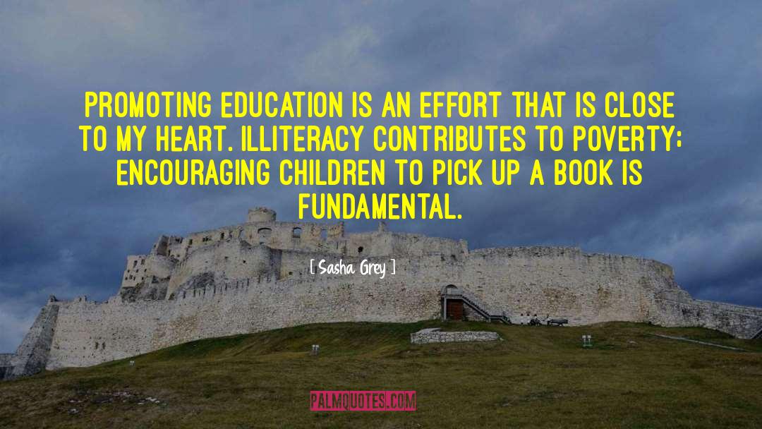 Sasha Grey Quotes: Promoting education is an effort