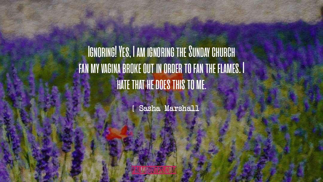 Sasha Marshall Quotes: Ignoring! Yes, I am ignoring