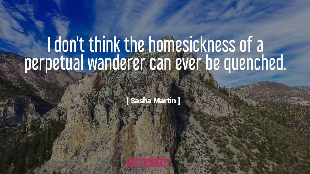 Sasha Martin Quotes: I don't think the homesickness