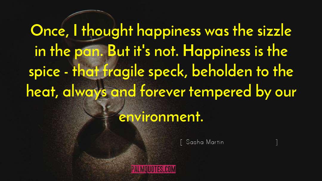 Sasha Martin Quotes: Once, I thought happiness was