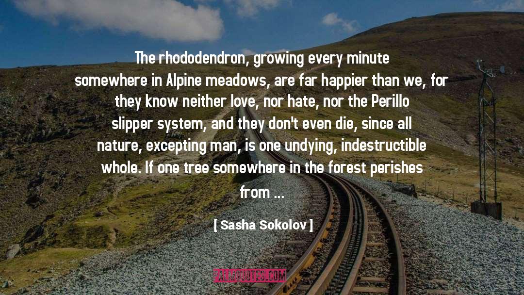 Sasha Sokolov Quotes: The rhododendron, growing every minute