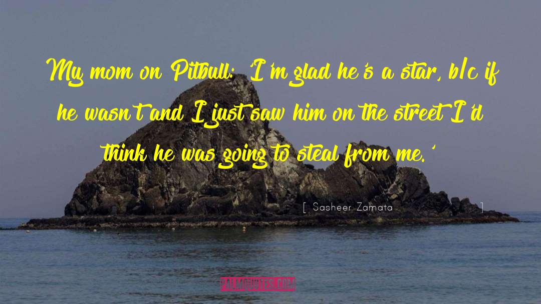 Sasheer Zamata Quotes: My mom on Pitbull: 'I'm