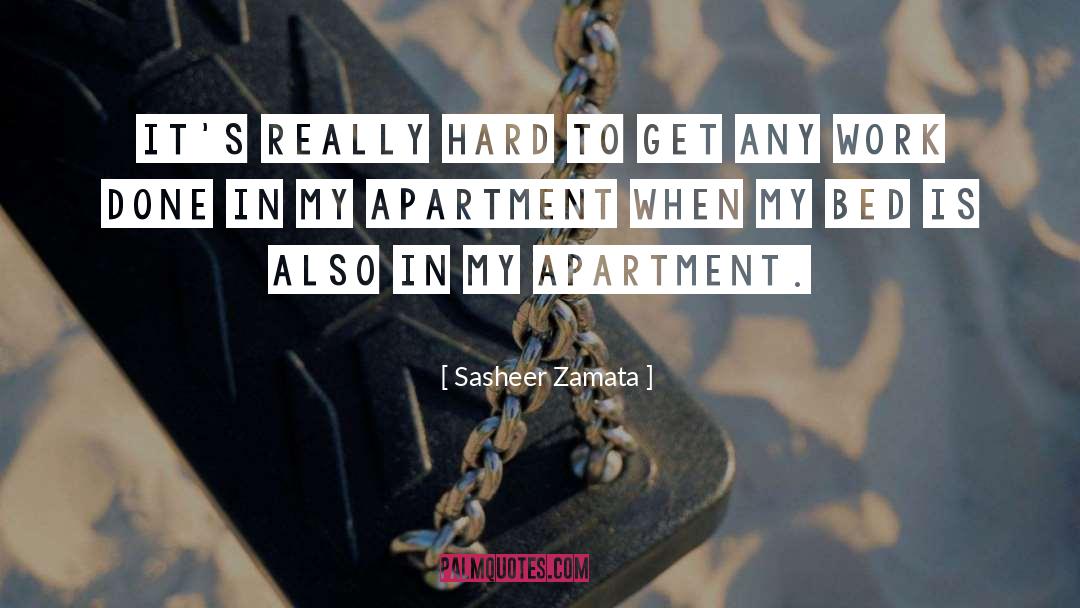 Sasheer Zamata Quotes: It's really hard to get