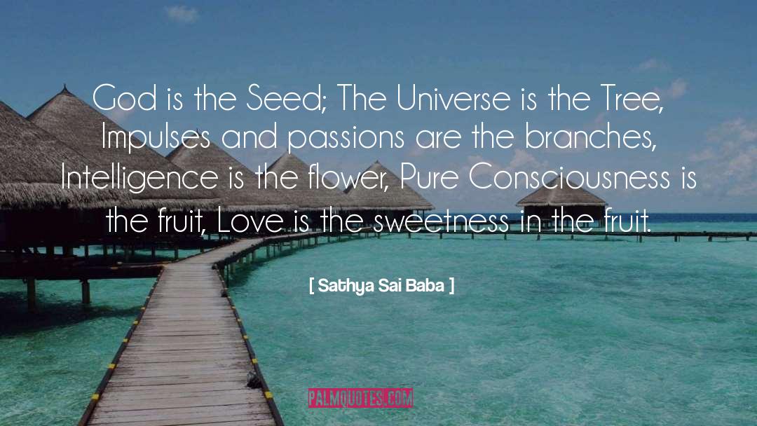 Sathya Sai Baba Quotes: God is the Seed; The