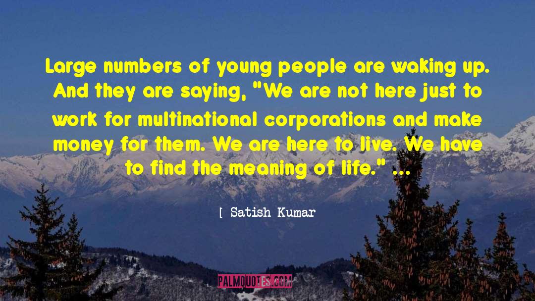 Satish Kumar Quotes: Large numbers of young people