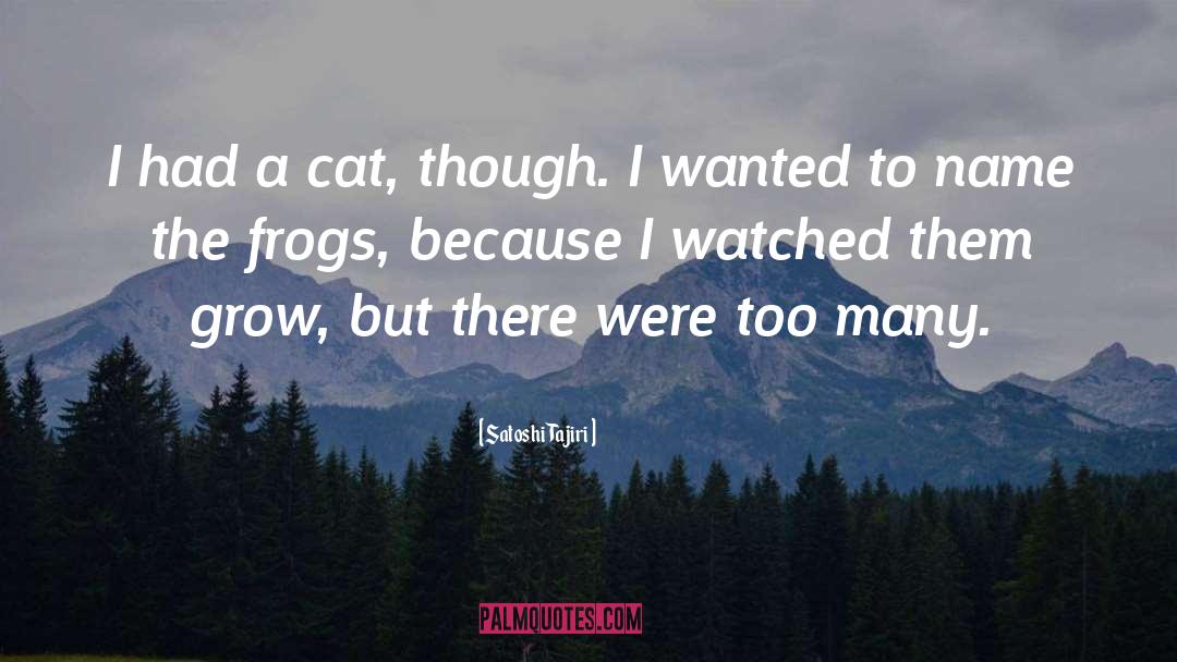 Satoshi Tajiri Quotes: I had a cat, though.