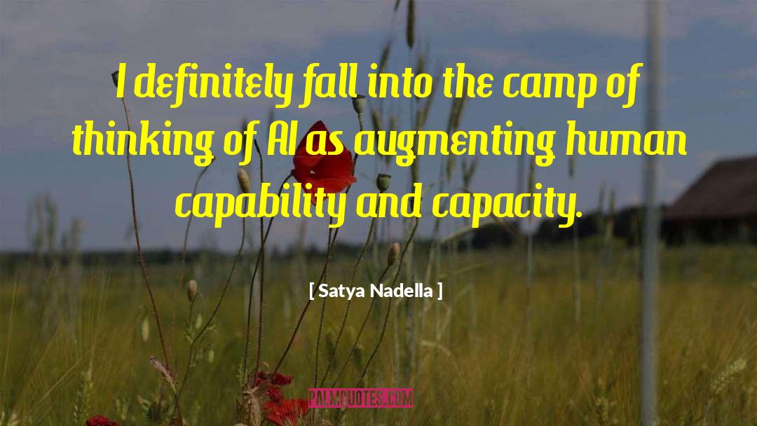 Satya Nadella Quotes: I definitely fall into the