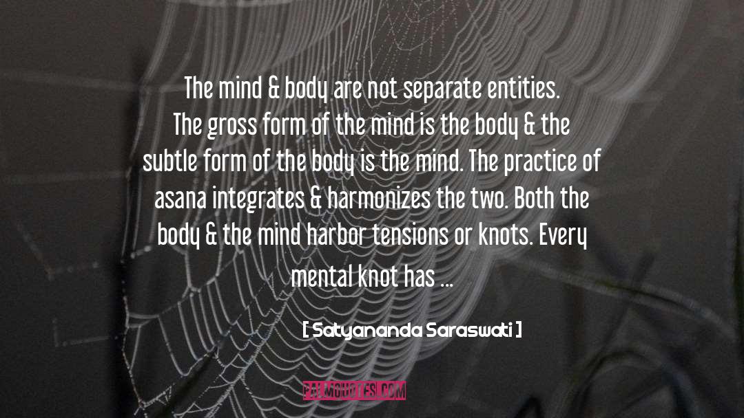 Satyananda Saraswati Quotes: The mind & body are