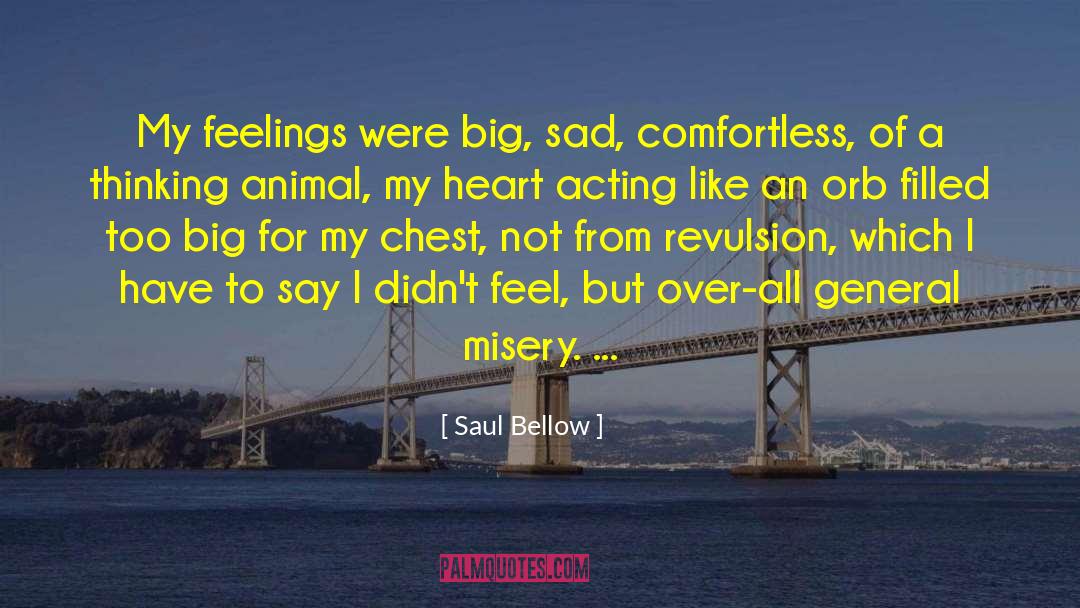 Saul Bellow Quotes: My feelings were big, sad,