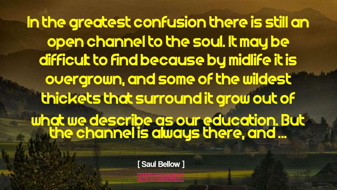 Saul Bellow Quotes: In the greatest confusion there