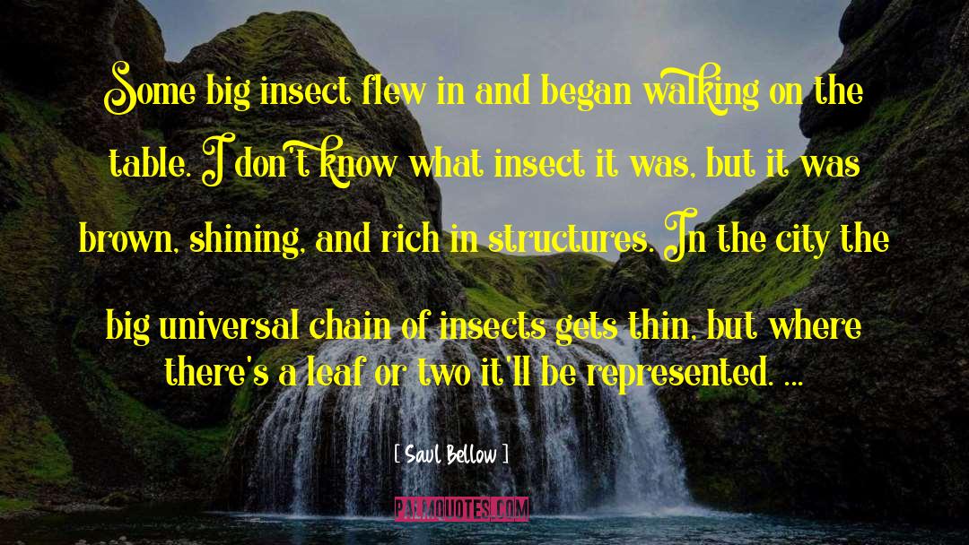 Saul Bellow Quotes: Some big insect flew in