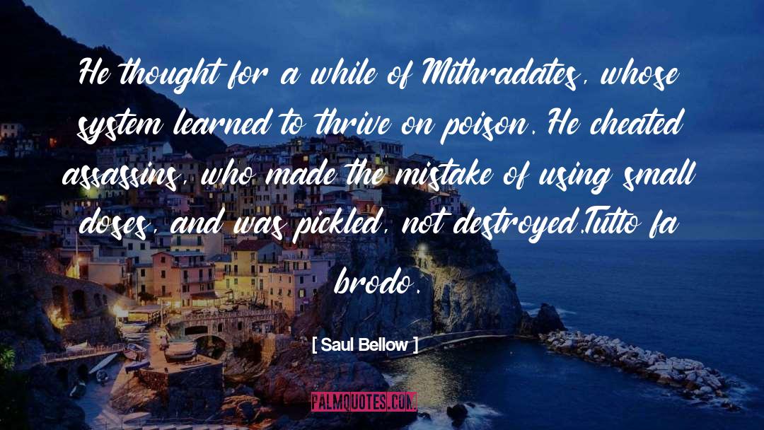 Saul Bellow Quotes: He thought for a while