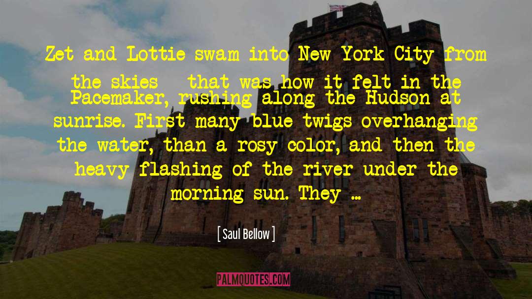 Saul Bellow Quotes: Zet and Lottie swam into