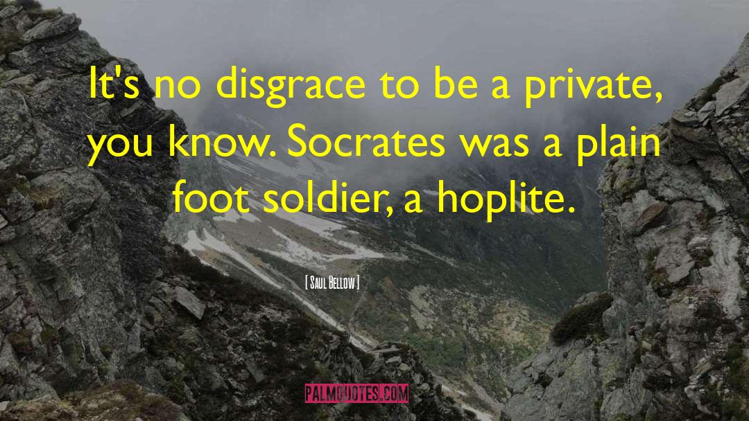 Saul Bellow Quotes: It's no disgrace to be