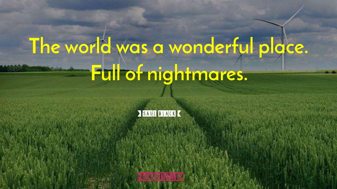 Saul Black Quotes: The world was a wonderful